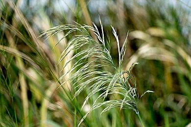 《伊苏10：北境历险》中文版同步 9月28日正式发售